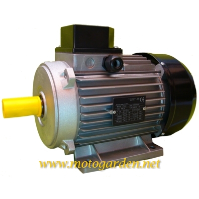 Motore Elettrico Trifase 2.2 kW (3 HP) 2 poli (2800 giri) Mec 90